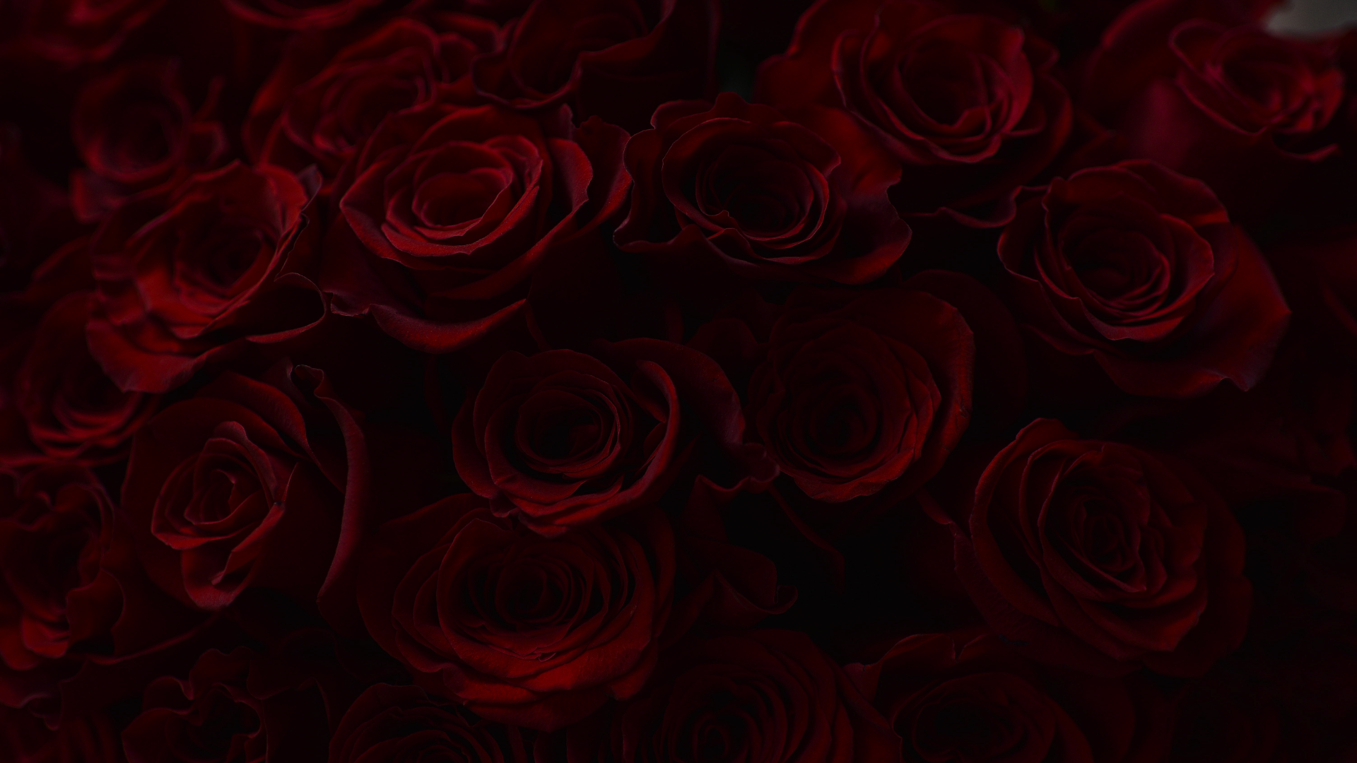 Experience background